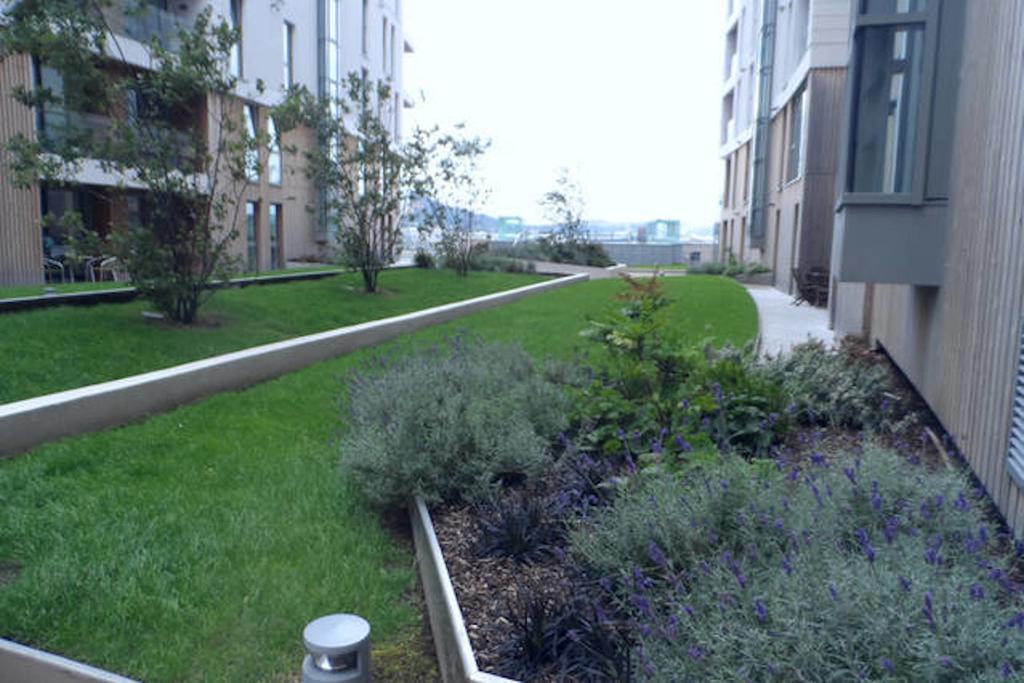Ck Serviced Apartments Белфаст Екстер'єр фото